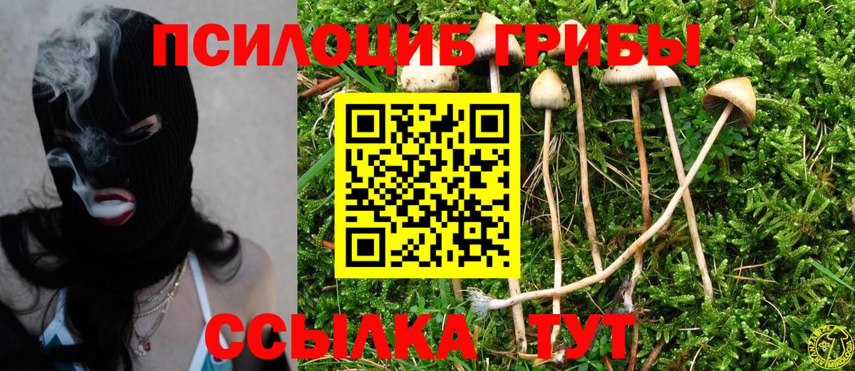 Керчь  Галлюциногенные грибы Psilocybe  Вход с VPN 